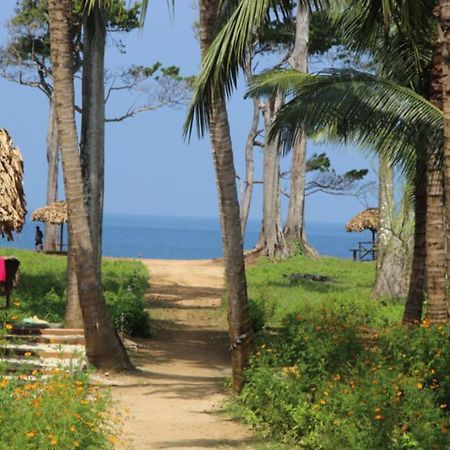 Pearl Park Beach Resort-Neil Island Lakshmanpur Extérieur photo