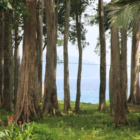 Pearl Park Beach Resort-Neil Island Lakshmanpur Extérieur photo