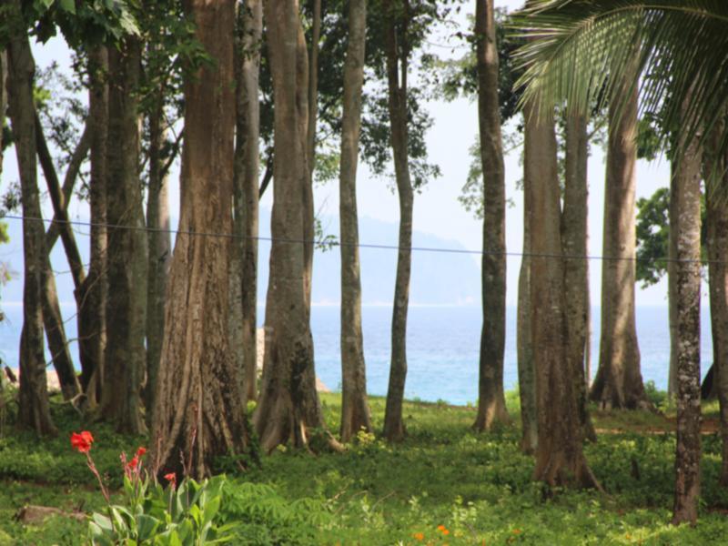 Pearl Park Beach Resort-Neil Island Lakshmanpur Extérieur photo